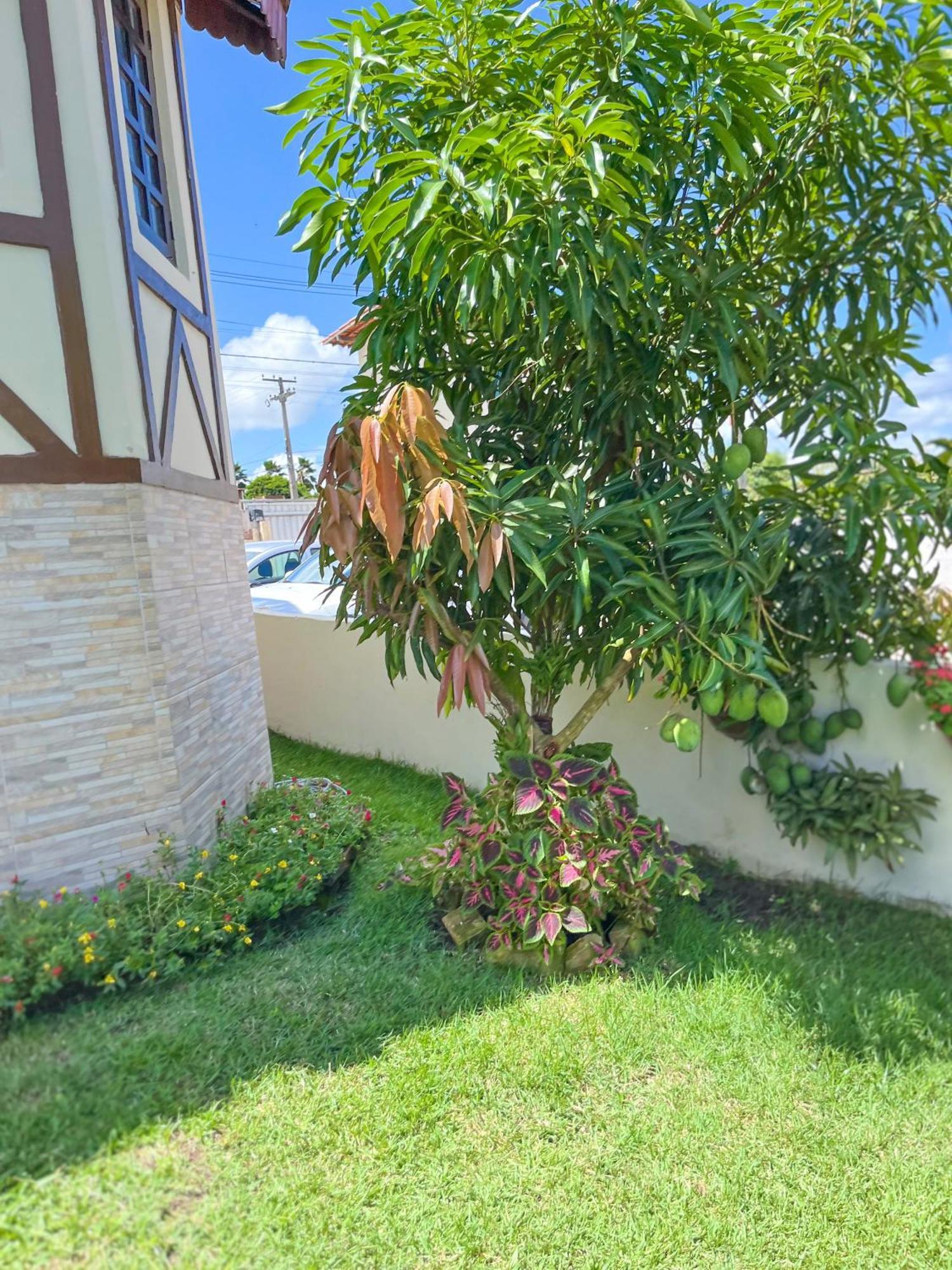 Chale Gravata - Prive Jardim De Marie Villa Exteriör bild